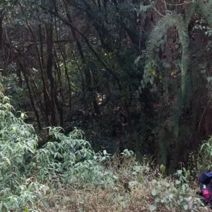 Explore Chisapani Nagarkot Short Trek Near Kathmandu - 3 Days for 3 days with Frolic Adventure Pvt. Ltd. and discover unforgettable experiences - Photo 5