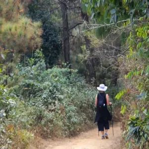 Explore Champadevi Nature Hike for 1 days with Frolic Adventure Pvt. Ltd. and discover unforgettable experiences - Photo 6