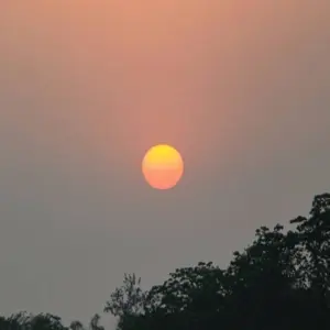 Explore Jungle Safari Tour in Nepal - 2 Nights 3 Days for 3 days with Frolic Adventure Pvt. Ltd. and discover unforgettable experiences - Photo 5