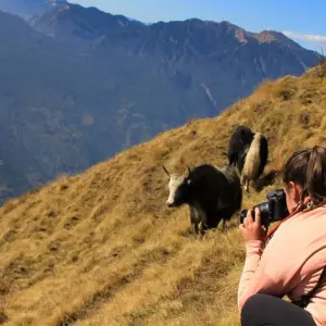 Explore 3 Day Mardi Himal Trek for 3 days with Frolic Adventure Pvt. Ltd. and discover unforgettable experiences - Photo 7