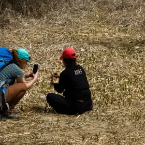 Explore Chisapani Nagarkot Short Trek Near Kathmandu - 3 Days for 3 days with Frolic Adventure Pvt. Ltd. and discover unforgettable experiences - Photo 7