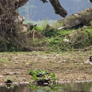 Explore Best of Nepal Tour Package - 12 Days for 12 days with Frolic Adventure Pvt. Ltd. and discover unforgettable experiences - Photo 8