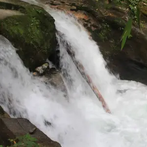 Explore Poon Hill Trek for 7 days with Frolic Adventure Pvt. Ltd. and discover unforgettable experiences - Photo 3