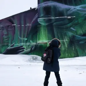 Explore Classic Churchill Polar Bear Adventure for 6 days with Frontiers North Adventures and discover unforgettable experiences - Photo 2