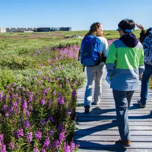 Explore Canada’s Big Five Safari for 8 days with Frontiers North Adventures and discover unforgettable experiences - Photo 2