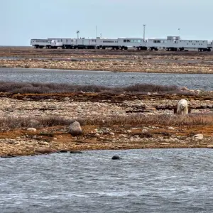 Explore Polar Bears in Churchill & the Tundra Buggy Lodge for 7 days with Frontiers North Adventures and discover unforgettable experiences - Photo 4