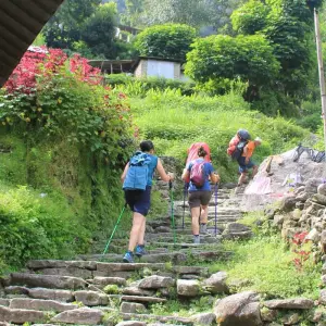 Explore Poon Hill Trek for 7 days with Frolic Adventure Pvt. Ltd. and discover unforgettable experiences - Photo 5