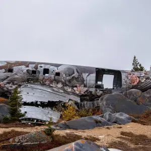 Explore Classic Churchill Polar Bear Adventure for 6 days with Frontiers North Adventures and discover unforgettable experiences - Photo 4