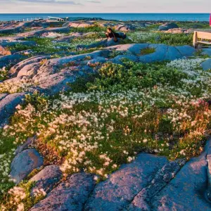 Explore Canada’s Big Five Safari for 8 days with Frontiers North Adventures and discover unforgettable experiences - Photo 4