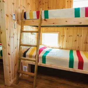 Explore Polar Bears in Churchill & the Tundra Buggy Lodge for 7 days with Frontiers North Adventures and discover unforgettable experiences - Photo 6