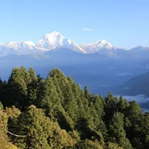 Explore Poon Hill Trek for 7 days with Frolic Adventure Pvt. Ltd. and discover unforgettable experiences - Photo 7