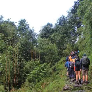 Explore Annapurna Base Camp Trek 12 Days for 12 days with Frolic Adventure Pvt. Ltd. and discover unforgettable experiences - Photo 7