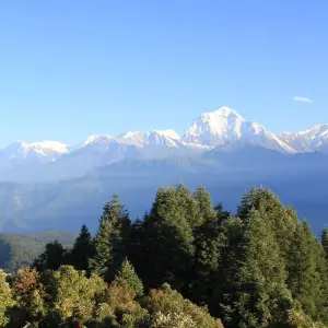 Explore Poon Hill Trek for 7 days with Frolic Adventure Pvt. Ltd. and discover unforgettable experiences - Photo 8