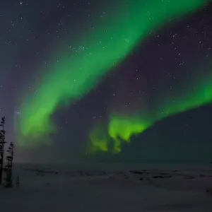 Explore Northern Lights Photo Adventure in Churchill Manitoba for 7 days with Frontiers North Adventures and discover unforgettable experiences - Photo 7