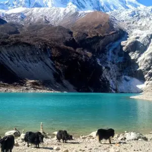 Explore Manaslu Circuit Trek - 12 Days for 12 days with Frolic Adventure Pvt. Ltd. and discover unforgettable experiences - Photo 9