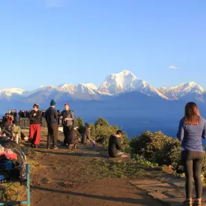 Explore Poon Hill Trek for 7 days with Frolic Adventure Pvt. Ltd. and discover unforgettable experiences - Photo 9