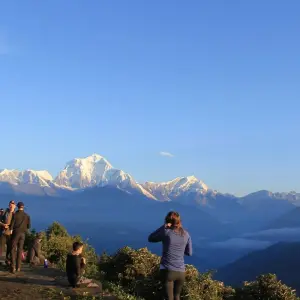Explore Annapurna Base Camp Trek 12 Days for 12 days with Frolic Adventure Pvt. Ltd. and discover unforgettable experiences - Photo 9