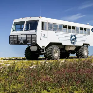 Explore Canada’s Big Five Safari for 8 days with Frontiers North Adventures and discover unforgettable experiences - Photo 7