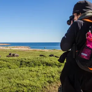 Explore Beluga Whales in Churchill Manitoba for 6 days with Frontiers North Adventures and discover unforgettable experiences - Photo 7
