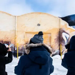 Explore Classic Churchill Polar Bear Adventure for 6 days with Frontiers North Adventures and discover unforgettable experiences - Photo 8