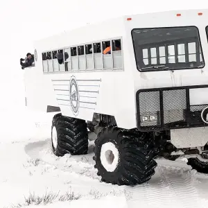 Explore Polar Bears in Churchill & the Tundra Buggy Lodge for 7 days with Frontiers North Adventures and discover unforgettable experiences - Photo 11