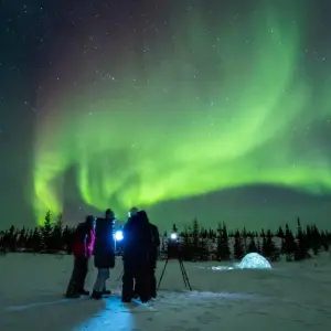 Explore Northern Lights Photo Adventure in Churchill Manitoba for 7 days with Frontiers North Adventures and discover unforgettable experiences - Photo 11