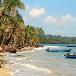 Explore Costa Rica: Wildlife Conservation, Permaculture and Responsible Tourism for 11 days with GIVE Volunteers and discover unforgettable experiences - Photo 4