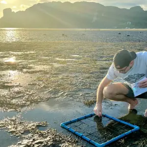 Explore Thailand Scuba Conservation: Open-Water/Advanced, Shark Conservation, and Coral Maintenance for 11 days with GIVE Volunteers and discover unforgettable experiences - Photo 2