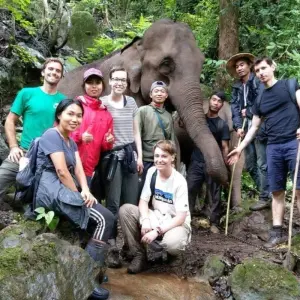 Explore Thailand Elephant Experience: Animal Welfare, Conservation & Jungle Trekking for 8 days with GIVE Volunteers and discover unforgettable experiences - Photo 2