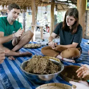 Explore Thailand Elephant Experience: Animal Welfare, Conservation & Jungle Trekking for 8 days with GIVE Volunteers and discover unforgettable experiences - Photo 3