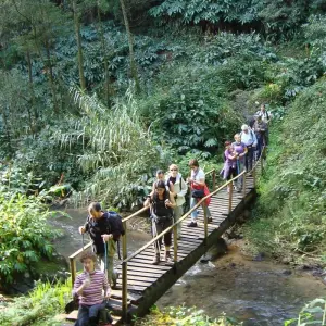 Explore São Miguel Active Experience for 7 days with Futurismo Azores Adventures and discover unforgettable experiences - Photo 7