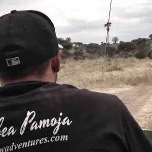 Explore Tanzania & Zanzibar Island: African Safari, School Construction & Education, Swim with Dolphins for 14 days with GIVE Volunteers and discover unforgettable experiences - Photo 6