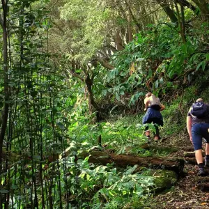 Explore São Miguel Soft Hiking for 7 days with Futurismo Azores Adventures and discover unforgettable experiences - Photo 10