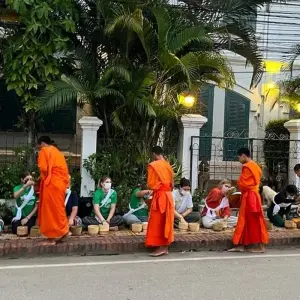 Explore Northern Laos: Wildlife Conservation, Permaculture, and Meditation Practice with Monks for 14 days with GIVE Volunteers and discover unforgettable experiences - Photo 6