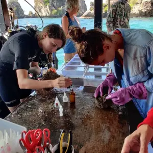 Explore Thailand Scuba Conservation: Open-Water/Advanced, Shark Conservation, and Coral Maintenance for 11 days with GIVE Volunteers and discover unforgettable experiences - Photo 5