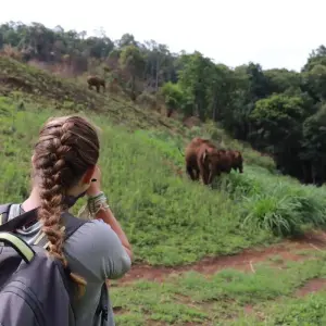 Explore Thailand Elephant Experience: Animal Welfare, Conservation & Jungle Trekking for 8 days with GIVE Volunteers and discover unforgettable experiences - Photo 5