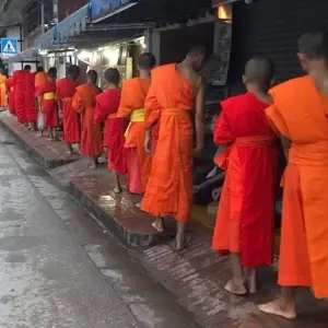 Explore Northern Laos: Wildlife Conservation, Permaculture, and Meditation Practice with Monks for 14 days with GIVE Volunteers and discover unforgettable experiences - Photo 7