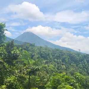 Explore Costa Rica: Wildlife Conservation, Permaculture and Responsible Tourism for 11 days with GIVE Volunteers and discover unforgettable experiences - Photo 8