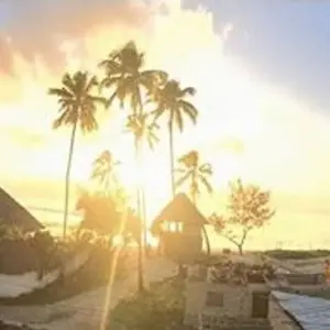 Explore Tanzania & Zanzibar Island: African Safari, School Construction & Education, Swim with Dolphins for 14 days with GIVE Volunteers and discover unforgettable experiences - Photo 8