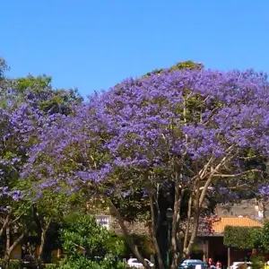 Explore Amazing Guatemala - Share tour for 14 days with GTM Tour Guide and Travel Services and discover unforgettable experiences - Photo 3