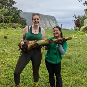 Explore Hawai'i Big Island: Environmental Conservation, Cultural Preservation, and Snorkeling for 9 days with GIVE Volunteers and discover unforgettable experiences - Photo 10