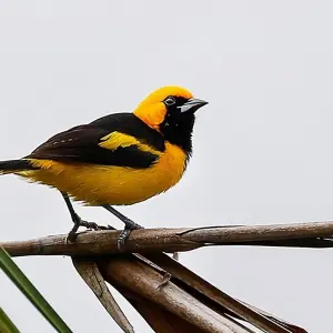 Explore Guatemala to Measure - Private group of 6 or more for 14 days with GTM Tour Guide and Travel Services and discover unforgettable experiences - Photo 7