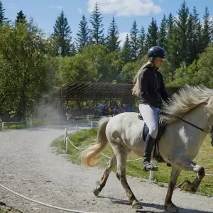 Explore 5 Days Land of Midnight Sun for 5 days with GJ Travel and discover unforgettable experiences - Photo 5