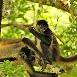 Explore Guatemala to Measure - Private group of 6 or more for 14 days with GTM Tour Guide and Travel Services and discover unforgettable experiences - Photo 10