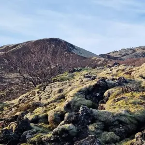 Explore 17 Days Combo Iceland Circle & Westfjords of Iceland for 17 days with GJ Travel and discover unforgettable experiences - Photo 10