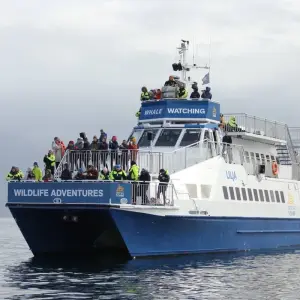 Explore 5 Days Reykjavík Iceland & Solar Eclipse Adventure at Sea Larger Group for 5 days with GJ Travel and discover unforgettable experiences - Photo 2