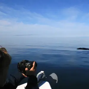 Explore 5 Days Reykjavík Iceland & Solar Eclipse Adventure at Sea Larger Group for 5 days with GJ Travel and discover unforgettable experiences - Photo 3