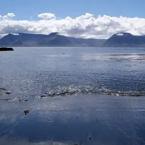 Explore 7 Days Northern Lights Secrets - Westfjords for 7 days with GJ Travel and discover unforgettable experiences - Photo 8