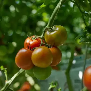 Explore 7 Days Gracious Southwest Iceland for 7 days with GJ Travel and discover unforgettable experiences - Photo 9