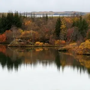 Explore 8 Days Guided Iceland Circle for 8 days with GJ Travel and discover unforgettable experiences - Photo 4